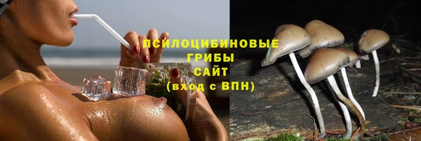 гидропоника Семикаракорск