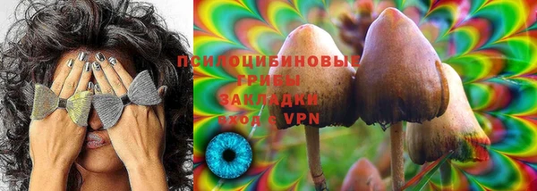 метадон Семёнов