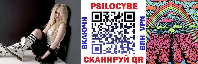 shop наркотические препараты  как найти наркотики  Устюжна  Псилоцибиновые грибы ЛСД 